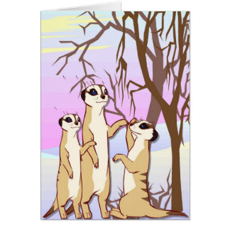 Resuelva los meerkats, familia en la nieve