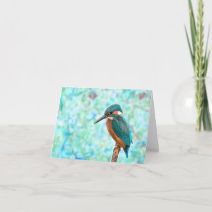 Resumen azul de pájaro de Kingfisher