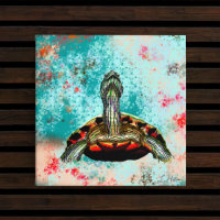 Resumen de arte de tortuga
