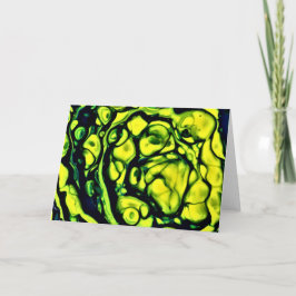 Resumen de color Estudio 305, tarjeta