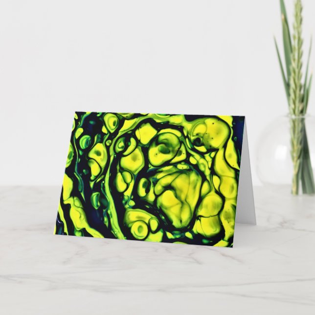 Resumen de color Estudio 305, tarjeta (Anverso)