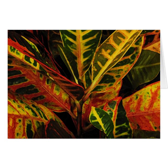 Resumen de Croton Leaves (Anverso (Horizontal))