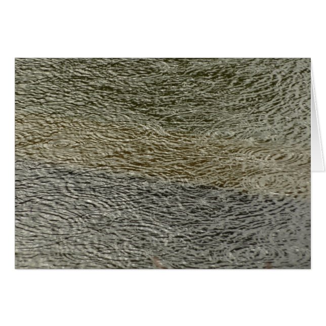 Resumen de fotografía de la naturaleza de Raindrop (Anverso (Horizontal))