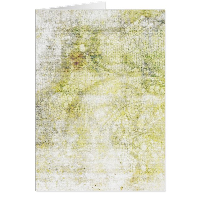 Resumen de Lacy Verde (Frente)