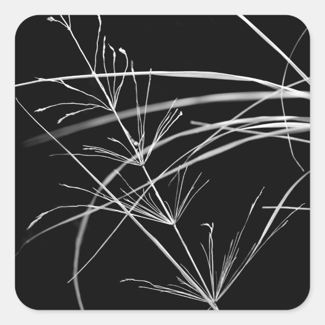 Resumen de Pegatinas de la Naturaleza de Grass (Anverso)