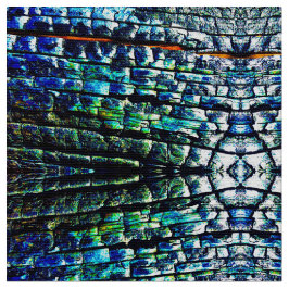 Resumen de tela de corteza quemada