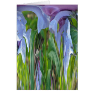 Resumen de Virginia Bluebells