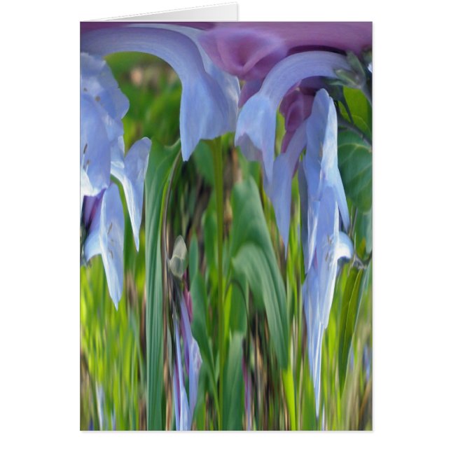 Resumen de Virginia Bluebells (Frente)