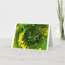 Resumen del estudio de color 249, tarjeta