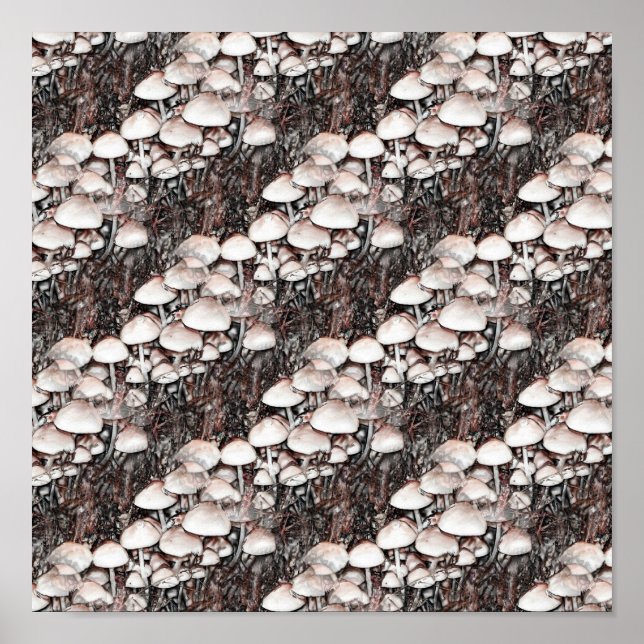 Resumen Hongos Diversión Naturaleza Poster de Arte (Frente)