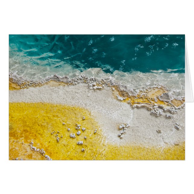 Resumen Parque nacional Yellowstone Primavera Cali (Anverso (Horizontal))