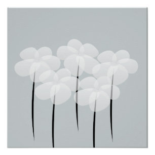 Resumen Poster de Anemones Blancos