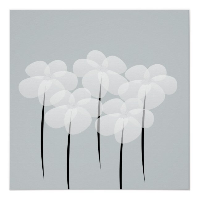 Resumen Poster de Anemones Blancos (Anverso)