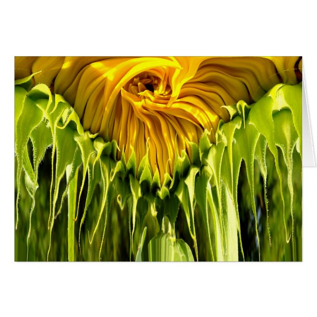 Resumen retro funky giratorio girasol, geometría a (Anverso (Horizontal))