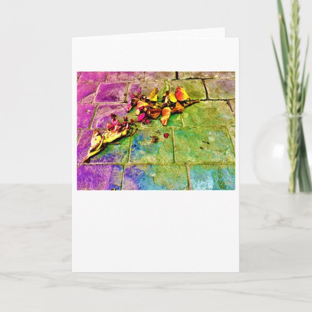 Resumen Street View 718, tarjeta (Anverso)