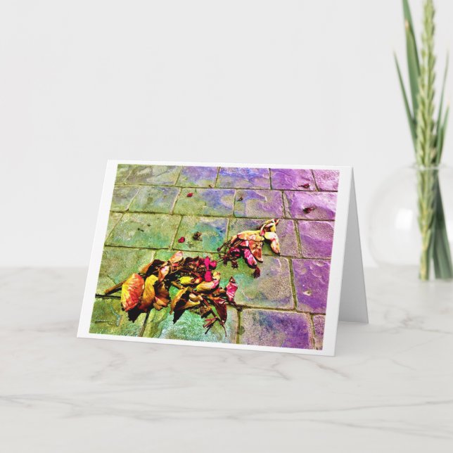 Resumen Street View 720, tarjeta (Anverso)