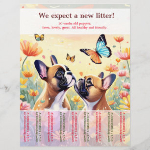 Retirar volante de Cachorros de Bulldog francés