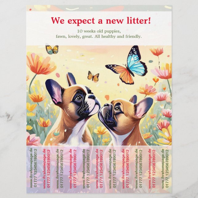 Retirar volante de Cachorros de Bulldog francés (Frente)