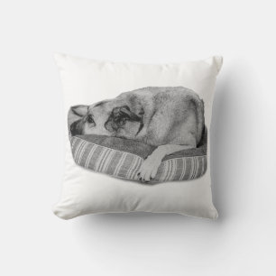 Retiro de Invierno, Almohada Serena para Perro