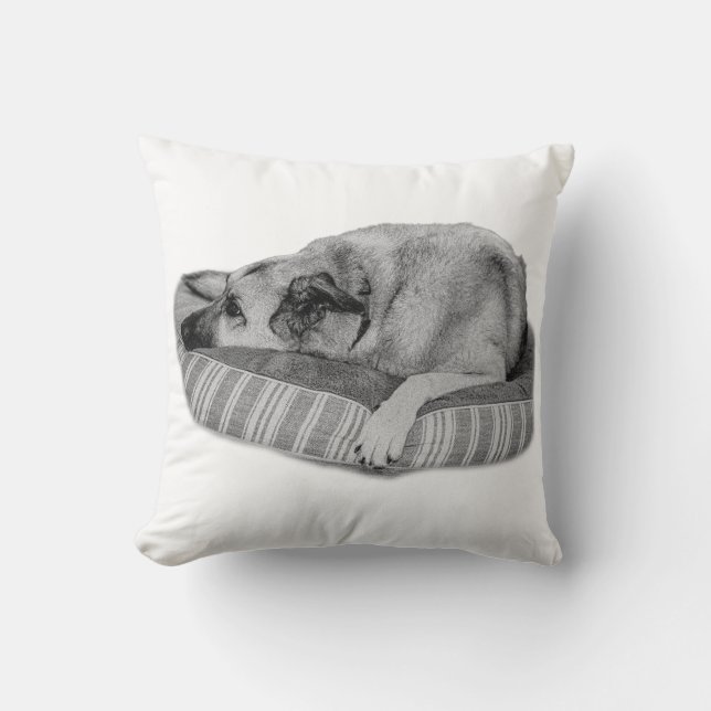 Retiro de Invierno, Almohada Serena para Perro (Anverso)