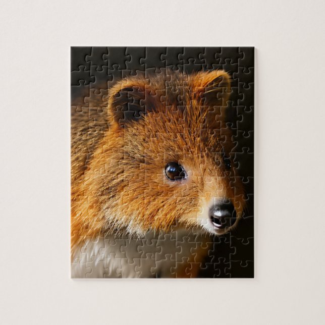 Retrato australiano de Quokka, rompecabezas de Jig (Vertical)