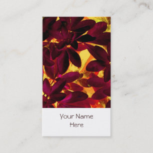 Retrato blanco de la tarjeta de visita Choisya Aut