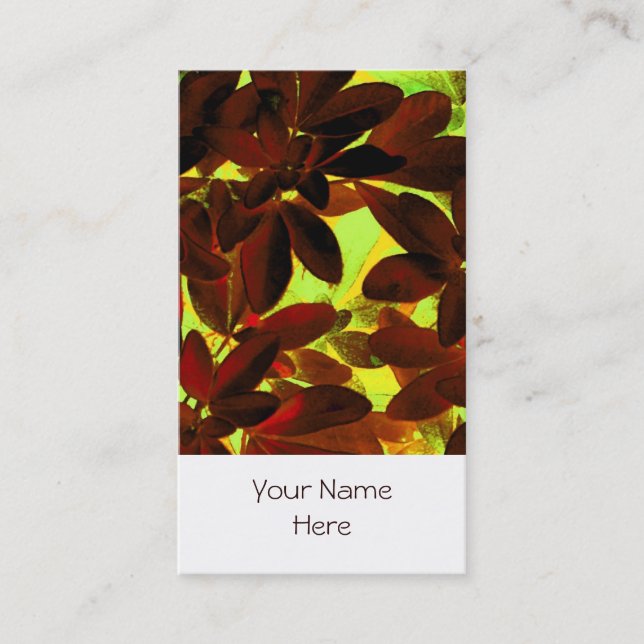 Retrato blanco de la tarjeta de visita Choisya Oto (Anverso)