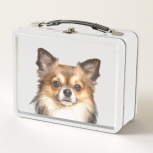 Retrato chihuahua