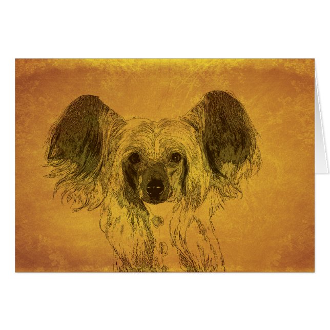 Retrato con cresta chino (Anverso (Horizontal))