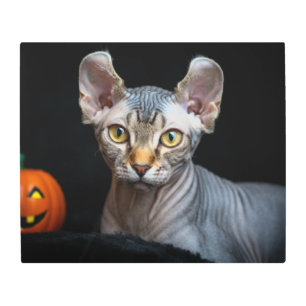 Retrato de arte de gato de Elf Sphynx personalizad