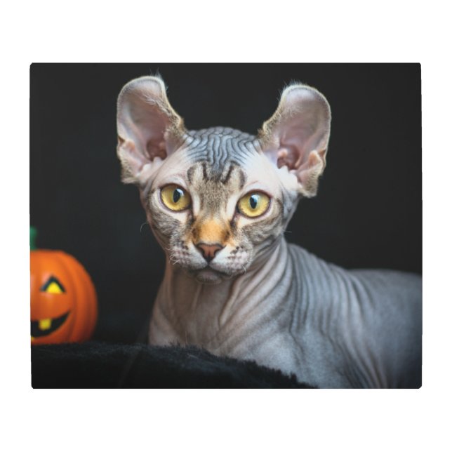 Retrato de arte de gato de Elf Sphynx personalizad (Anverso)