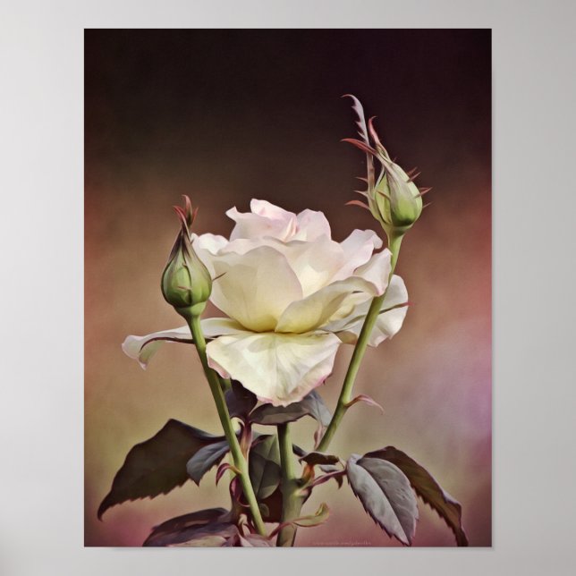 Retrato de arte fotográfico de Rosa del viejo mund (Frente)