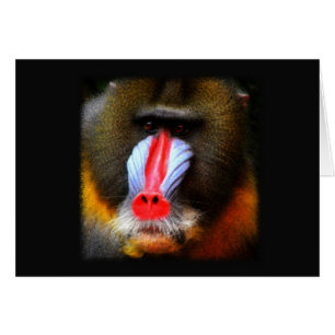 Retrato de Baboon