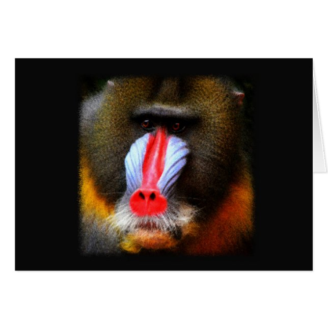 Retrato de Baboon (Anverso (Horizontal))
