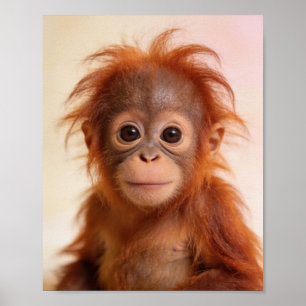 Retrato de bebé orangután Arte de guardería de sel