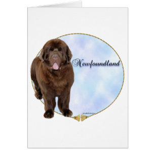 Retrato de Brown Newfoundland