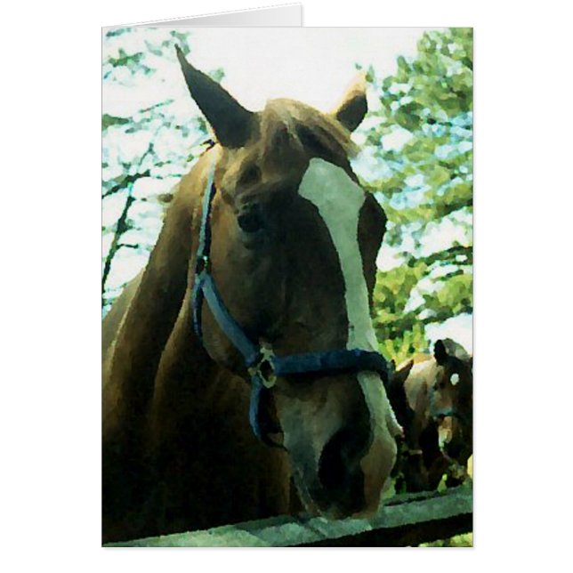 Retrato de caballo (Frente)