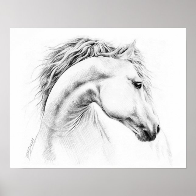 Retrato de caballo Dibujo a lápiz Arte ecuestre (Frente)
