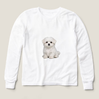 Retrato de cachorro maltés blanco esponjoso Amante
