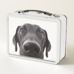 Retrato de cierre del labrador negro