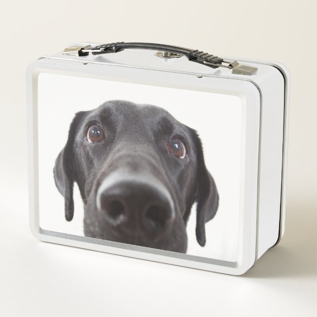 Retrato de cierre del labrador negro (Reverso)