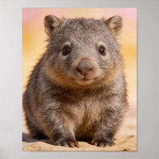 Retrato de cría de wombat Arte de pared para nurse