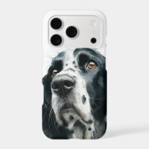 retrato de english springer spaniel con moteado