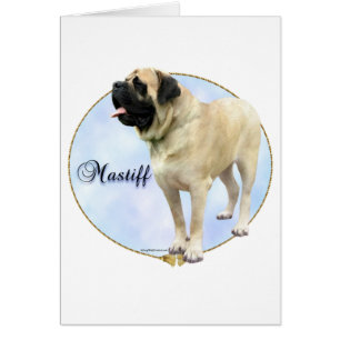 Retrato de Fawn Mastiff