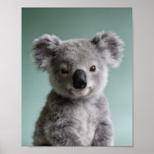 Retrato de Koala Bebé - Arte de Pared para Guarder