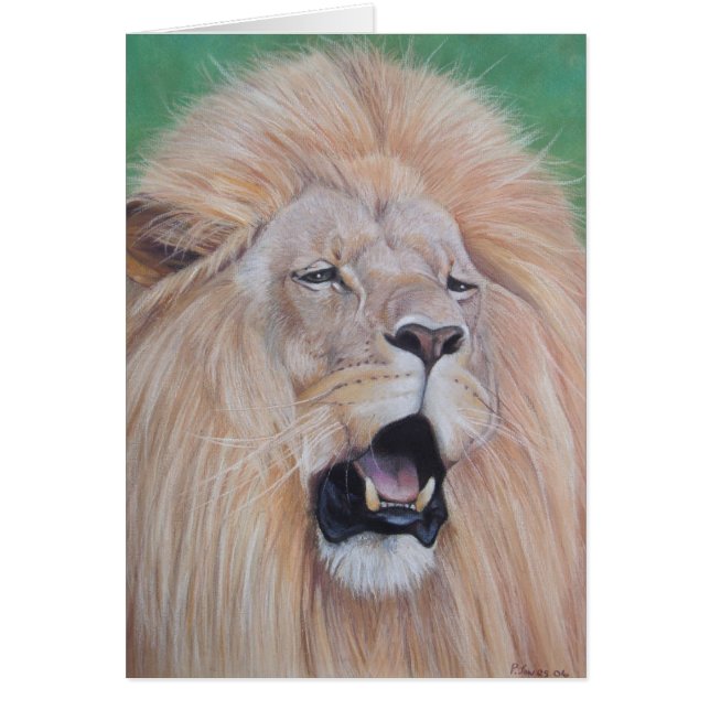 retrato de la vida salvaje de los grandes felinos  (Frente)