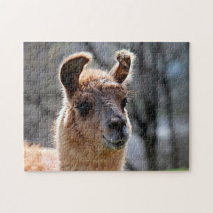 Retrato de Llama, rompecabezas