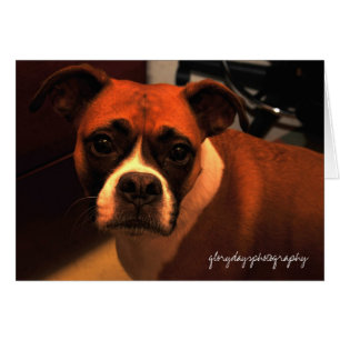 Retrato de Lucie Monroe