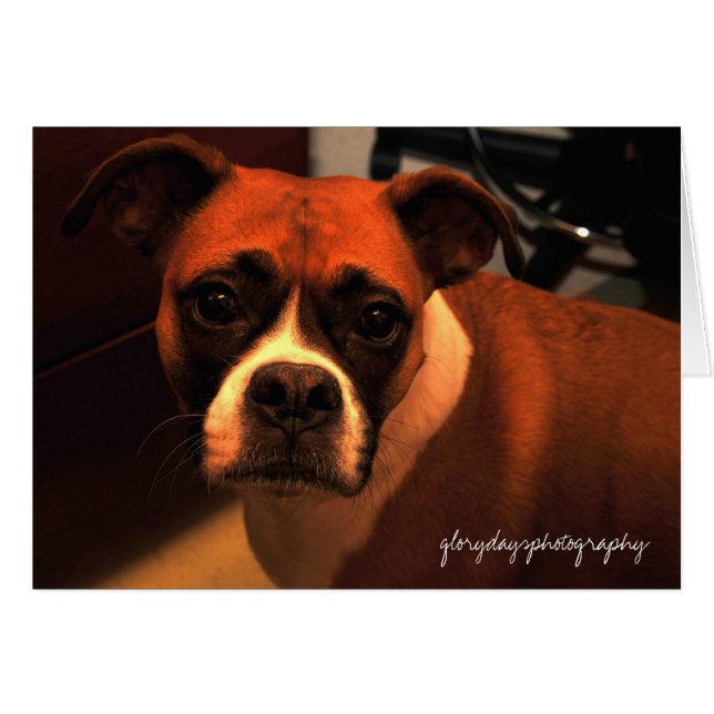 Retrato de Lucie Monroe (Anverso (Horizontal))