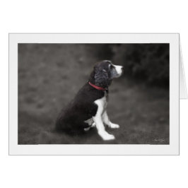 Retrato de Mabel no 1